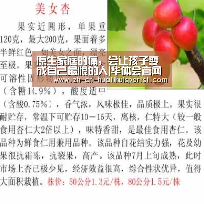 原生家庭的痛,会让孩子变成自己最恨的人|华体会官网(图2) 华体会网站