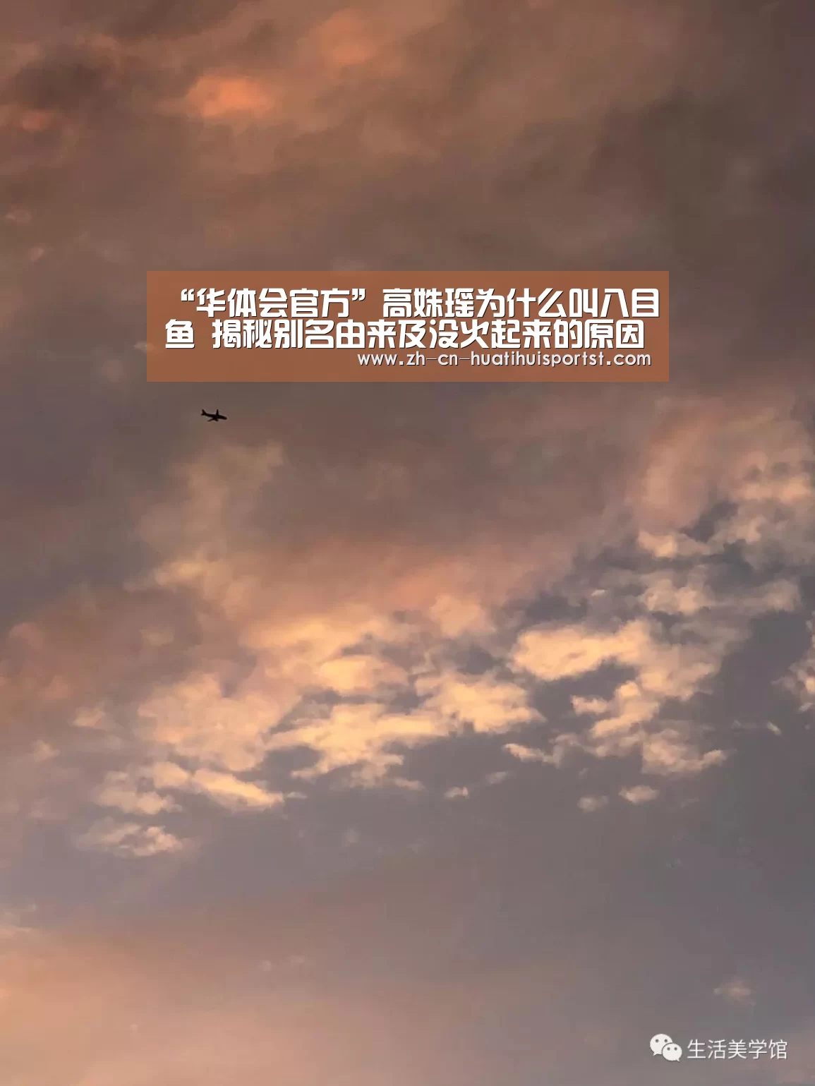 “华体会官方”高姝瑶为什么叫八目鱼 揭秘别名由来及没火起来的原因(图1) 华体会官网