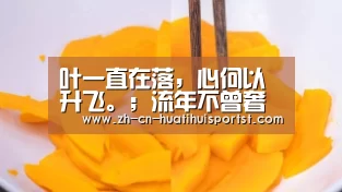 叶一直在落,心何以升飞。;流年不曾奢偷,岁光却溅了彩影_华体会网站(图1) 华体会官方