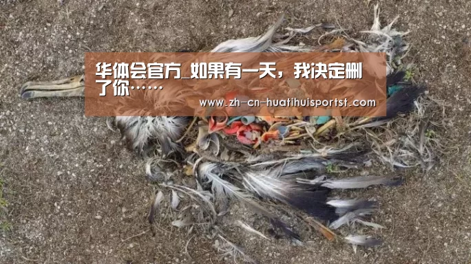 华体会官方_如果有一天，我决定删了你……